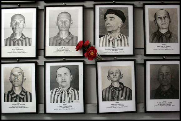Auschwitz, Pologne, 2008