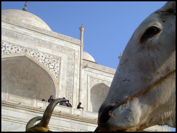 Inde, Agra, 2008
